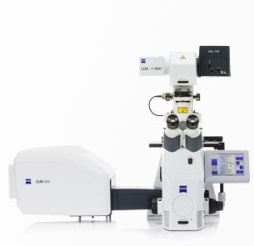 高效显微镜图片